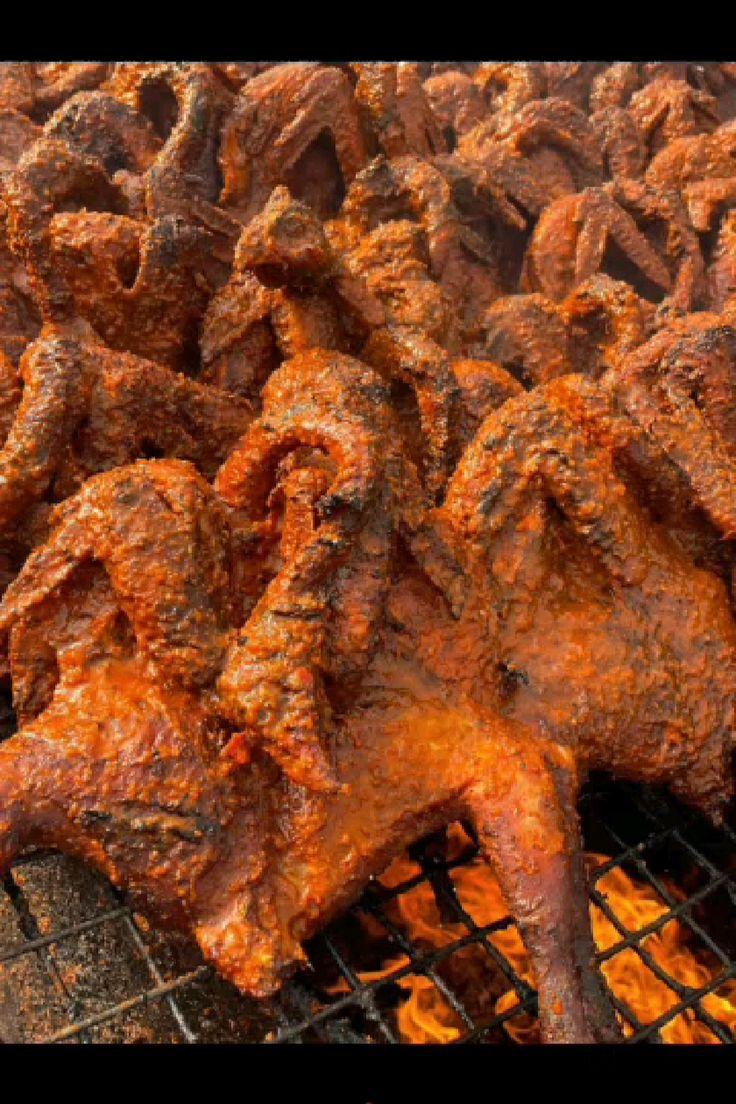 Peppered guinea fowl